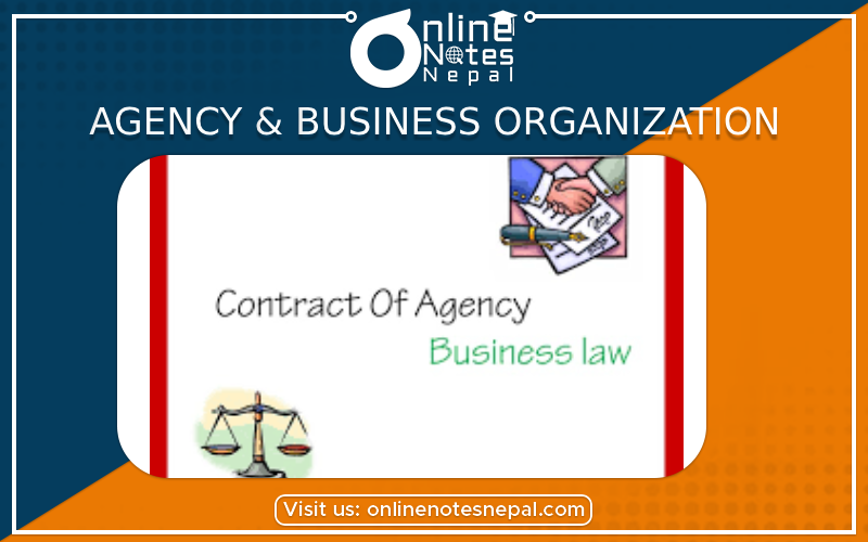 Agency & Business Organization